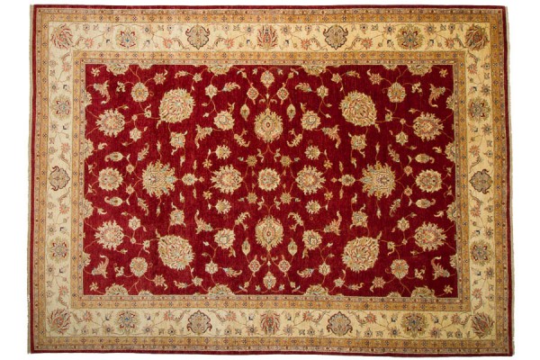 Afghan Chobi Ziegler 354x260 Handgeknüpft Teppich 260x350 Rot Orientalisch Kurzflor