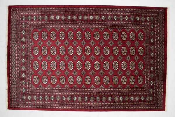 Pakistan Buchara 240x158 Handgeknüpft Teppich 160x240 Rot Orientalisch Kurzflor Orient