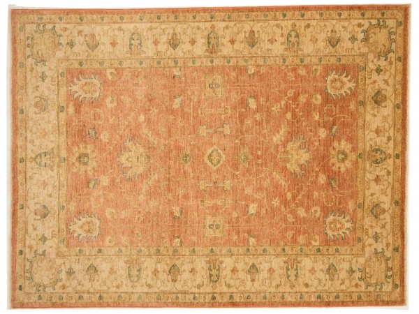 Afghan Chobi Ziegler 220x169 Handgeknüpft Teppich 170x220 Beige Blumenmuster Kurzflor