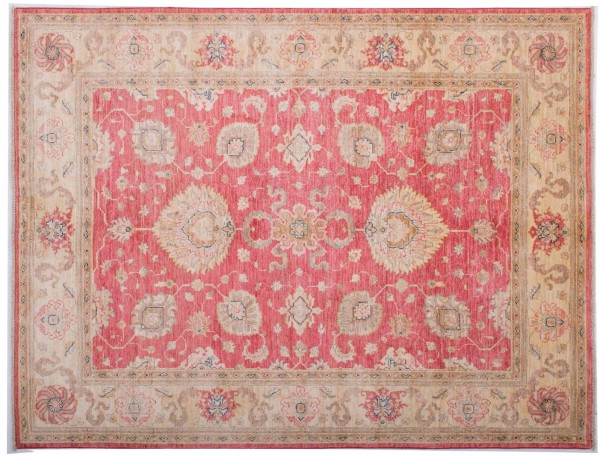 Afghan Chobi Ziegler Fein 194x150 Handgeknüpft Teppich 150x190 Rot Blumenmuster