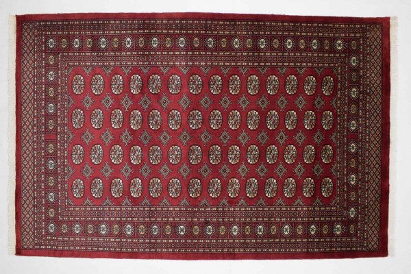 Pakistan Buchara 237x154 Handgeknüpft Teppich 150x240 Rot Orientalisch Kurzflor Orient