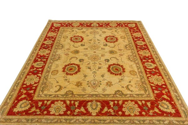 Afghan Chobi Ziegler 240x197 Handgeknüpft Teppich 200x240 Beige Orientalisch Kurzflor