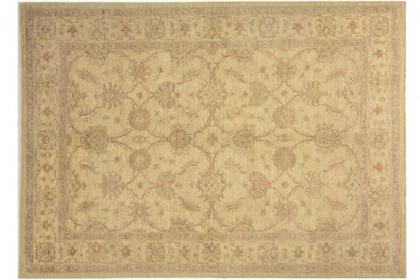 Afghan Chobi Ziegler 238x172 Handgeknüpft Teppich 170x240 Beige Orientalisch Kurzflor