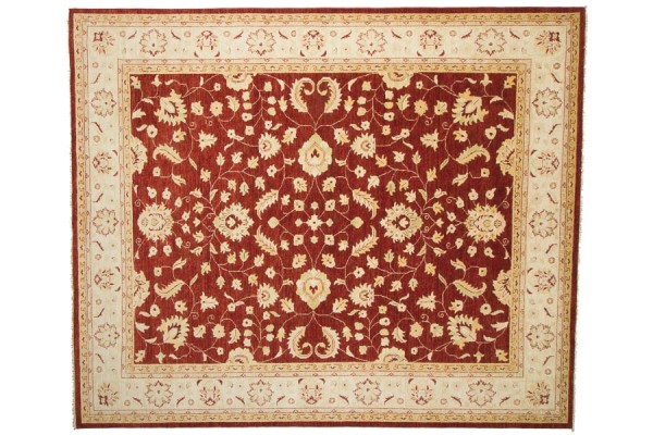 Afghan Chobi Ziegler 301x250 Handgeknüpft Teppich 250x300 Rot Orientalisch Kurzflor