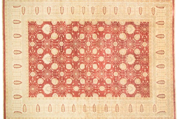 Afghan Chobi Ziegler 521x368 Handgeknüpft Teppich 370x520 Beige Orientalisch Kurzflor