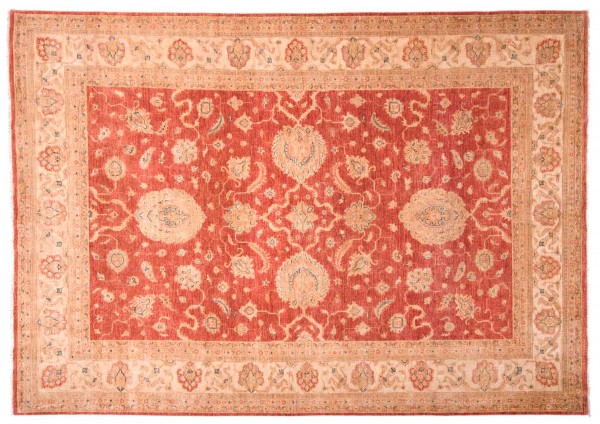 Afghan Chobi Ziegler Fein 298x211 Handgeknüpft Teppich 210x300 Rot Blumenmuster
