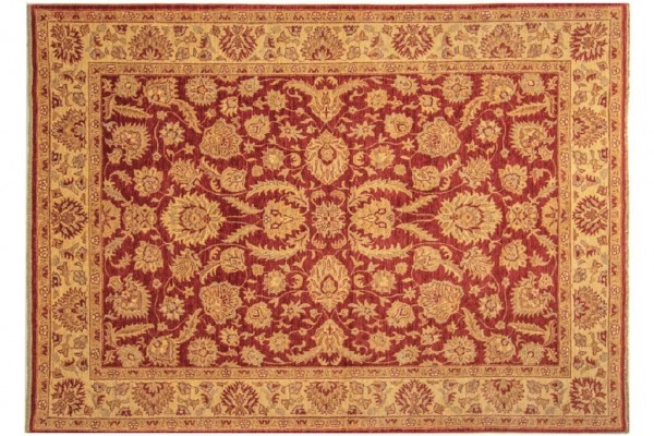 Afghan Chobi Ziegler 246x179 Handgeknüpft Teppich 180x250 Rot Orientalisch Kurzflor