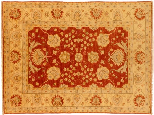 Afghan Chobi Ziegler 243x168 Handgeknüpft Teppich 170x240 Rot Orientalisch Kurzflor