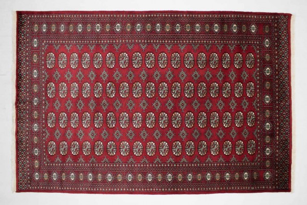 Pakistan Buchara 238x156 Handgeknüpft Teppich 160x240 Rot Orientalisch Kurzflor Orient