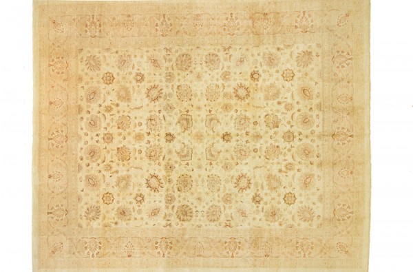 Afghan Chobi Ziegler 439x368 Handgeknüpft Teppich 370x440 Beige Blumenmuster Kurzflor