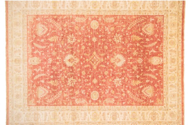Afghan Chobi Ziegler 516x406 Handgeknüpft Teppich 410x520 Rot Orientalisch Kurzflor